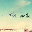 张钧's avatar